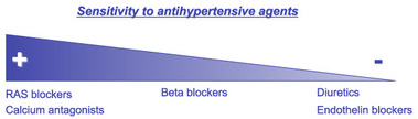 Figure 1: Blood pressure-lowering efficacy of common antihypertensive agents in SHR. 