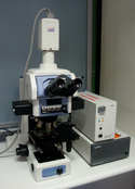 Figure 1: Overview of the microscope set-up.
